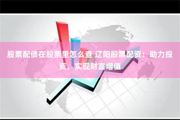 股票配债在股票里怎么查 辽阳股票配资:助力投资,实现财富增值