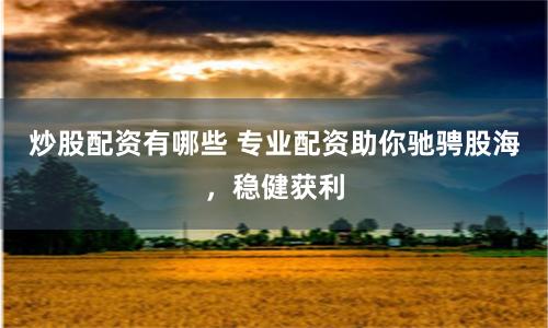 炒股配资有哪些 专业配资助你驰骋股海,稳健获利