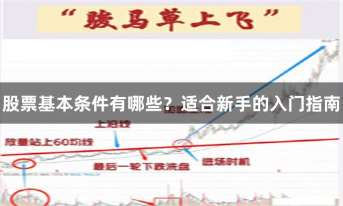 股票基本条件有哪些？适合新手的入门指南
